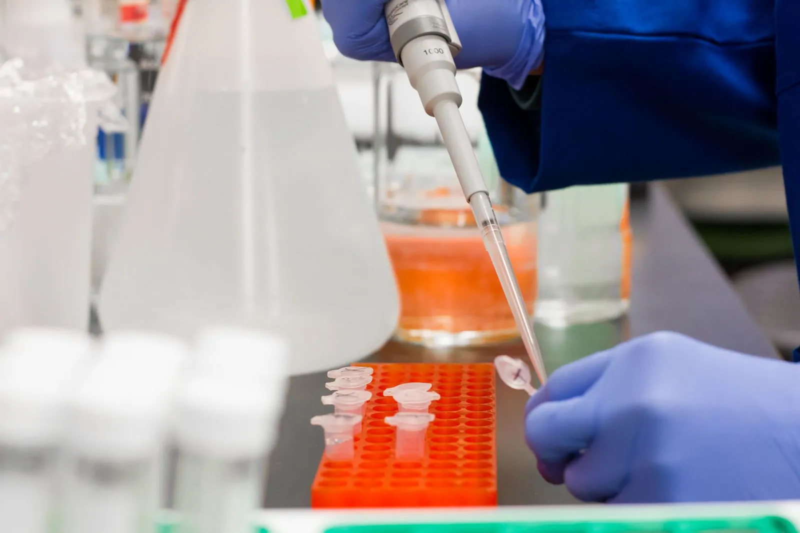 Laboratuvarda pipetle örnek tüplerine sıvı aktaran eldivenli bir el