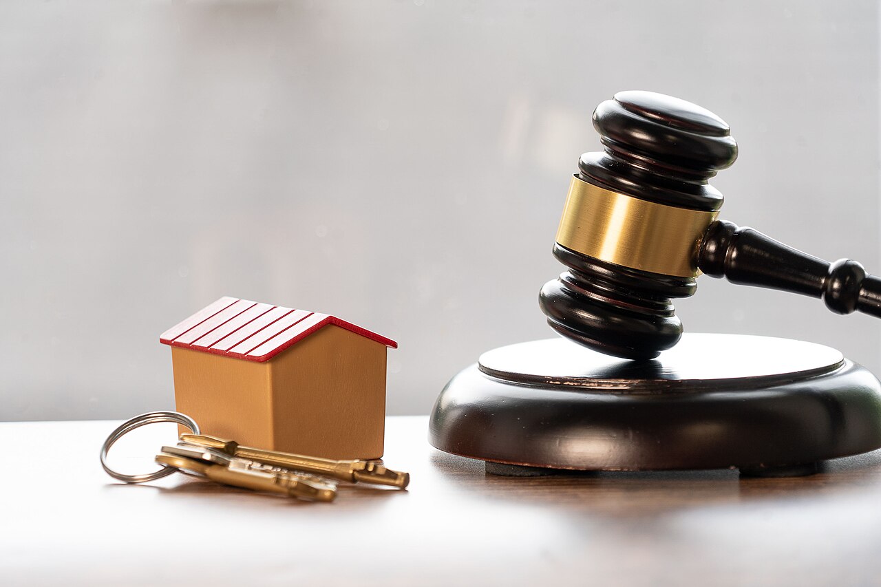 Assessment of a file on zoning legislation with a criminal lawyer