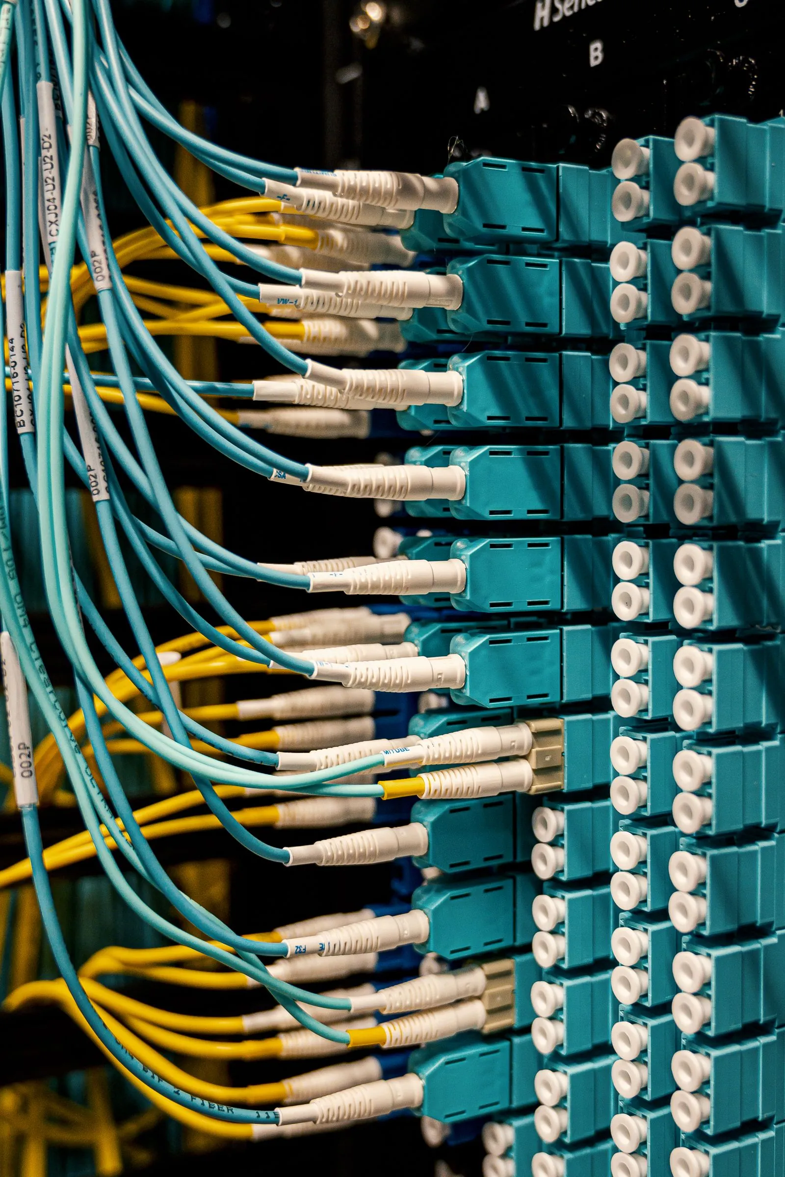 Erişim sağlayıcı altyapısını temsil eden fiber optik kablolar ve bağlantı paneli