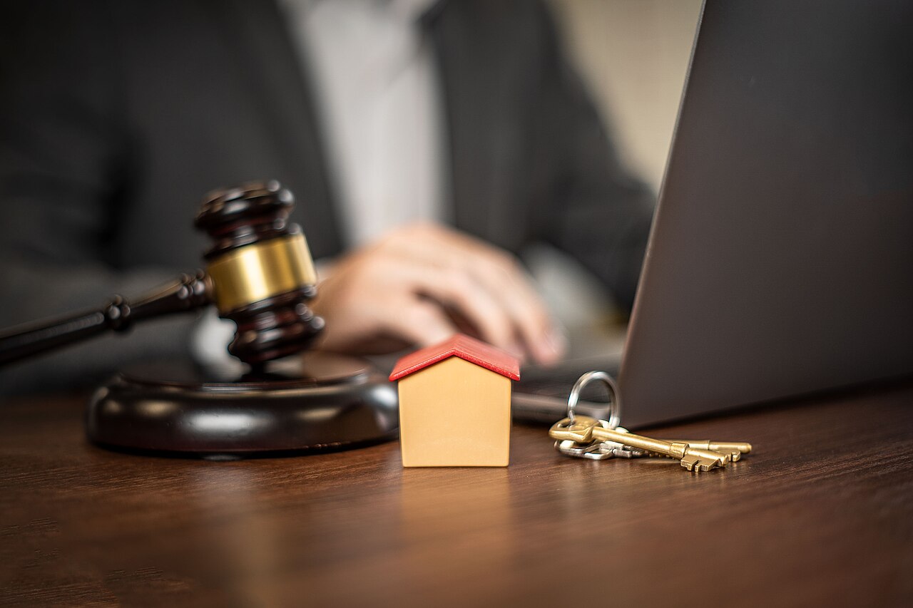 Title and contract documents assessed during the expert examination