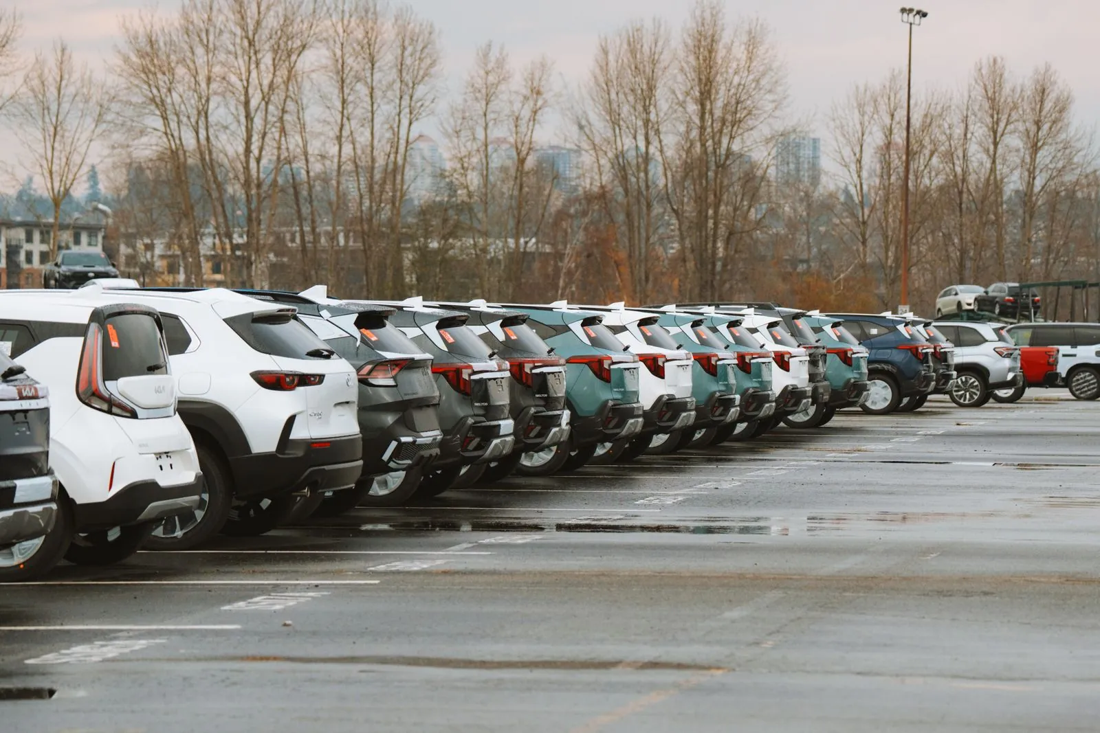 Açık otoparkta sıra hâlinde park edilmiş araçlar