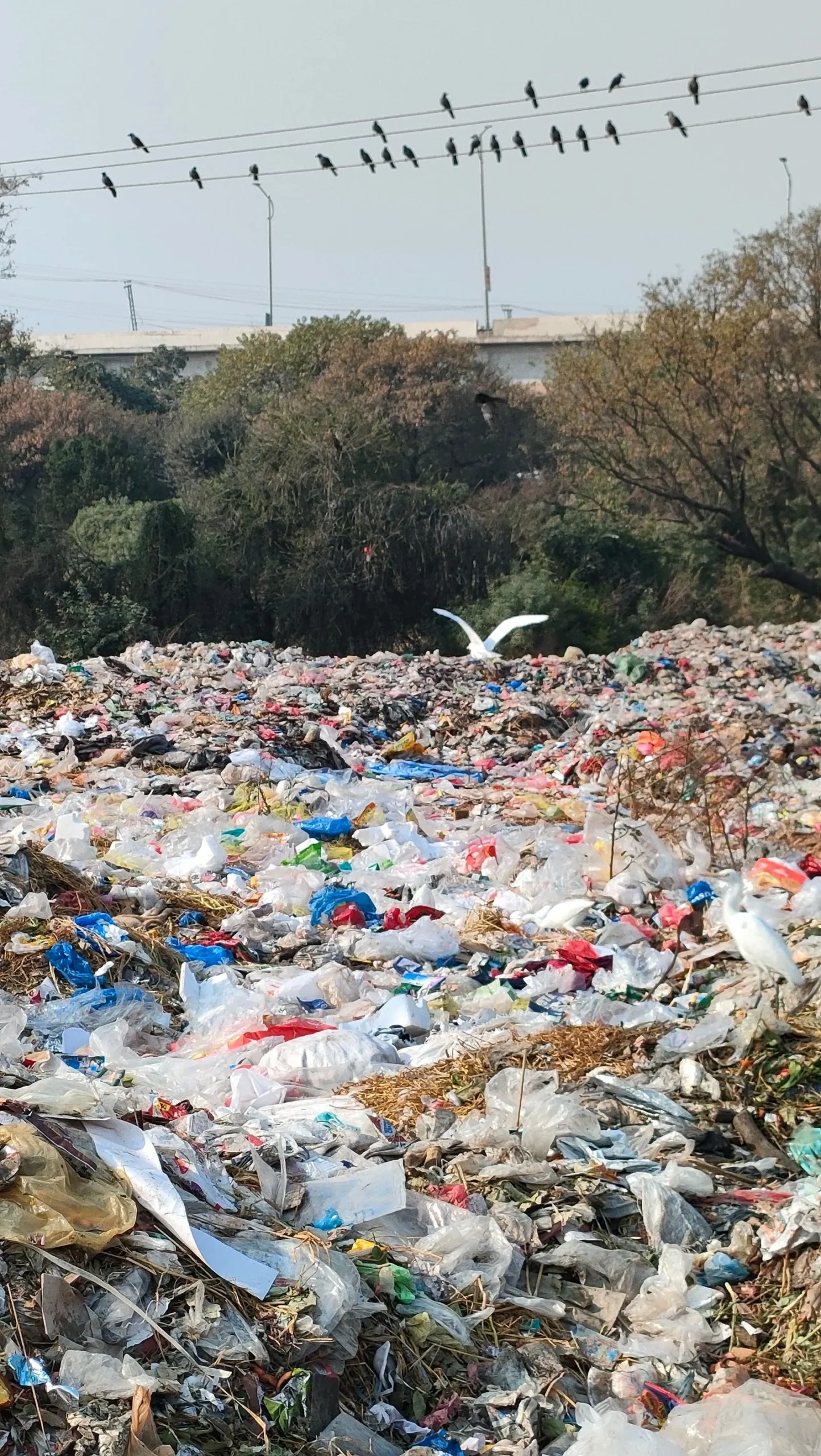 Açık alanda biriken plastik atıklar: atıkları toprağa verme fiiline uygulanan idari para cezası