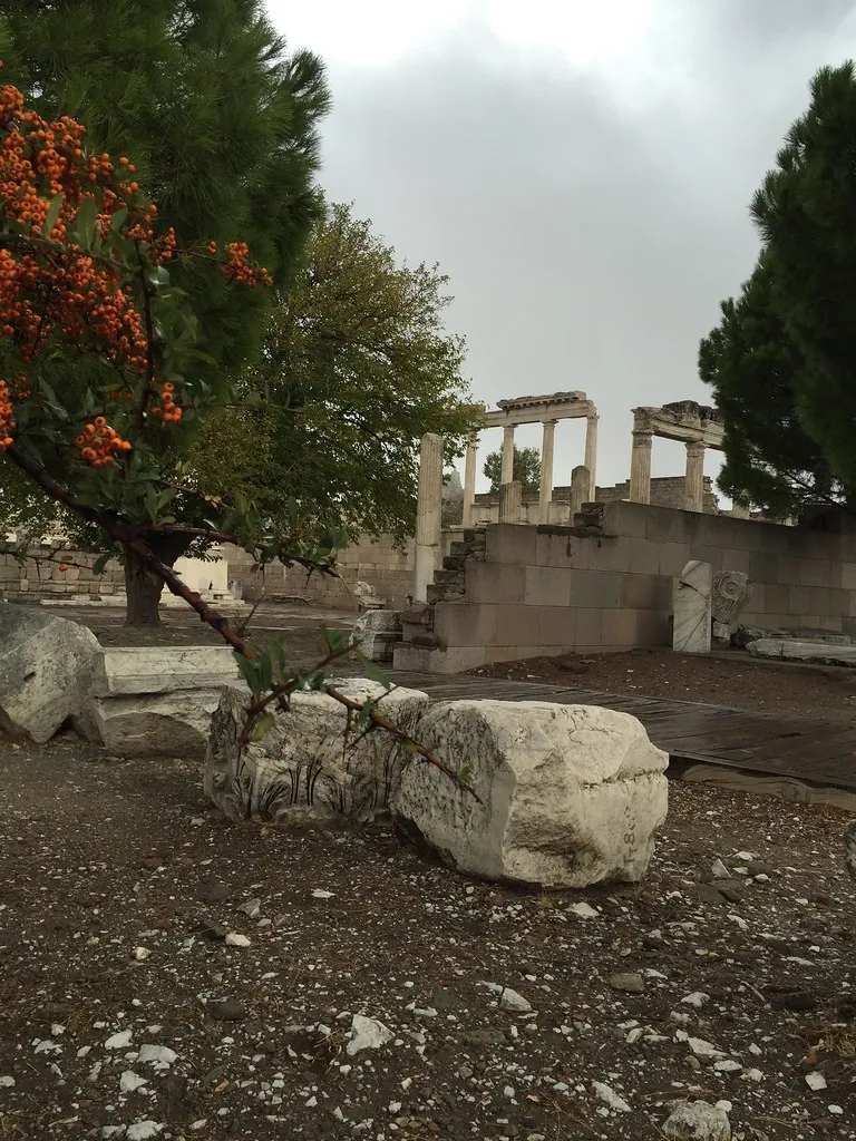 Bergama'da ağaçlar arasında antik sütunlar: çevre ve koruma alanı uyuşmazlıkları
