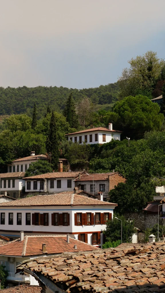 Selçuk Şirince'de yamaçtaki taş evler, İzmir'de ortaklığın giderilmesi davası konusu olabilecek miras konutları