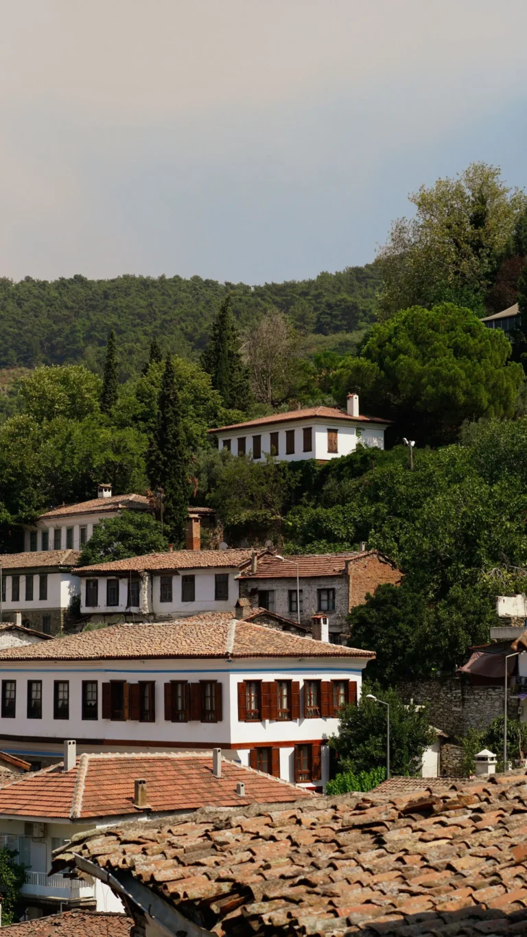 Selçuk Şirince'de yamaçtaki taş evler, İzmir'de ortaklığın giderilmesi davası konusu olabilecek miras konutları