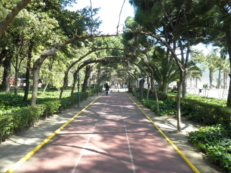 İzmir'de ağaçlı bir park yolu: İzmir'de uzlaştırma bürosu süreci rehberi