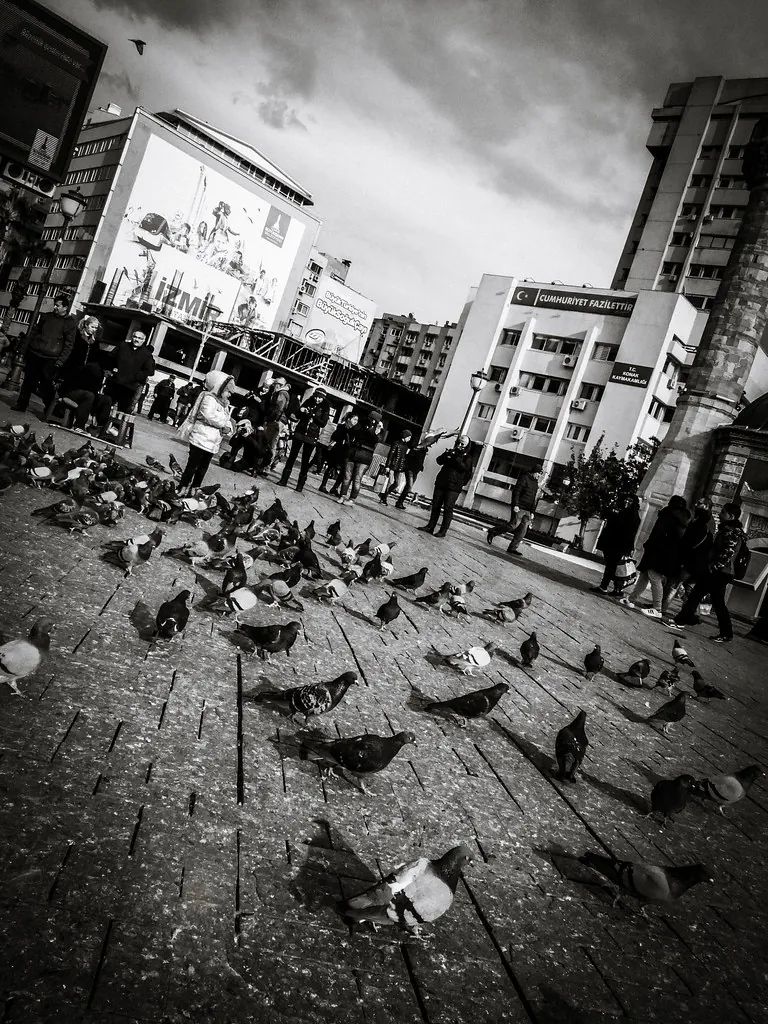 Konak meydanında güvercinler ve çevredeki kent merkezi binaları
